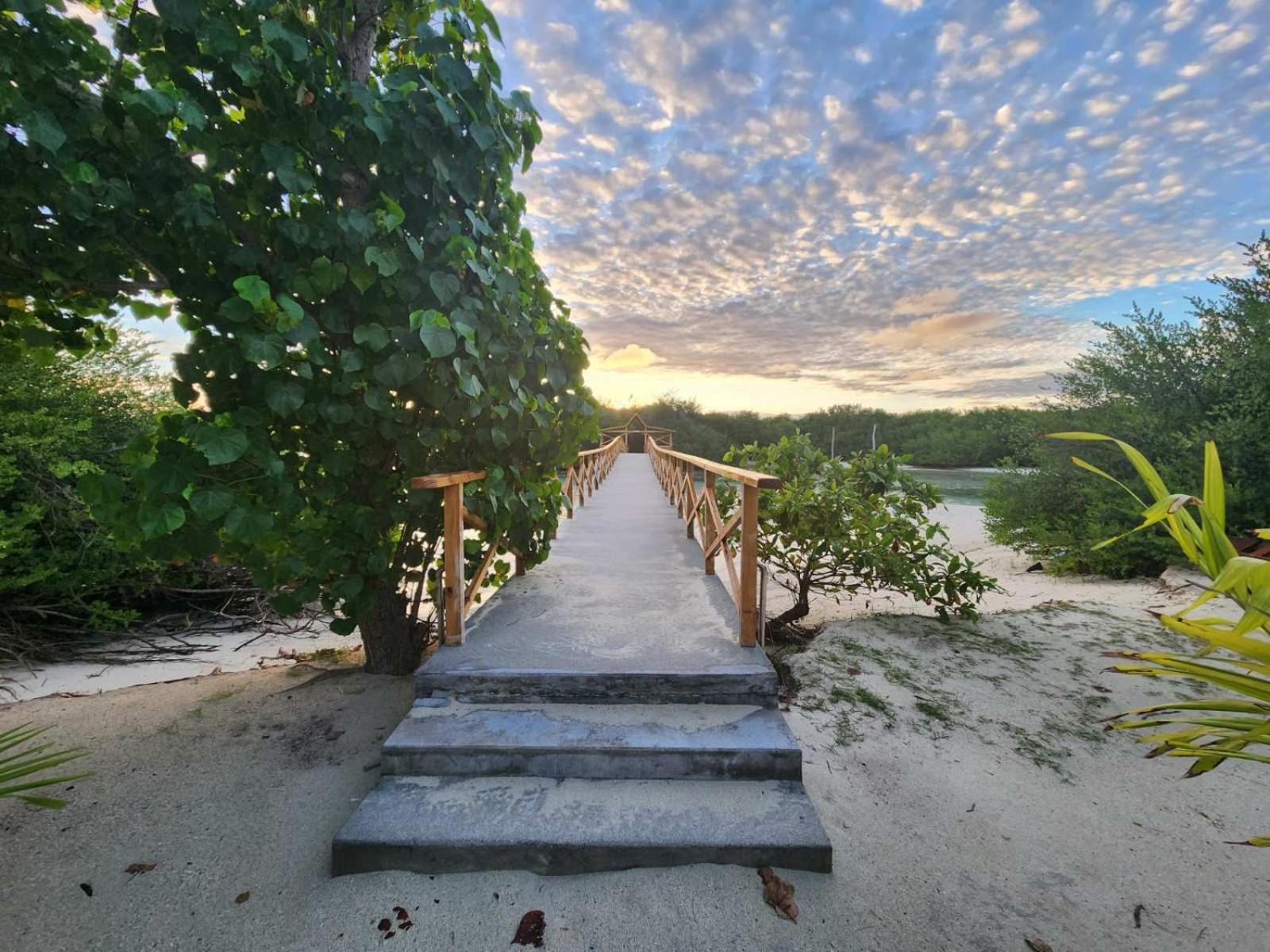 Surf Deck Hotel Thulusdhoo Exterior photo
